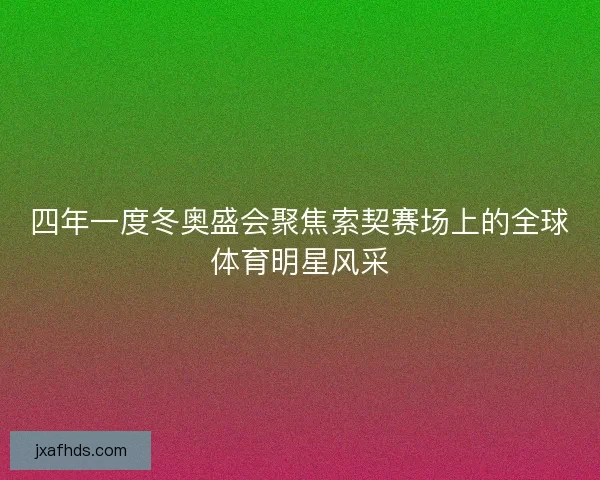 四年一度冬奥盛会聚焦索契赛场上的全球体育明星风采
